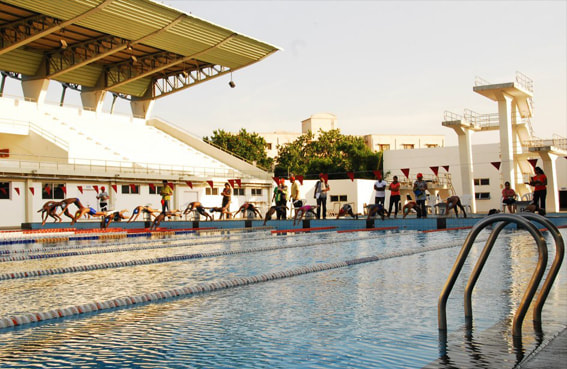 Corporate Swimming Event