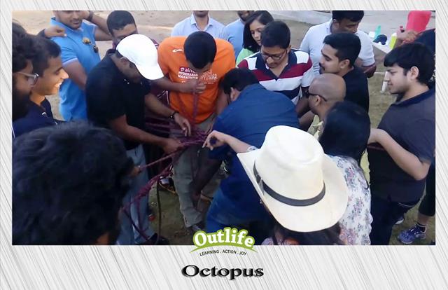 Octopus team building activity