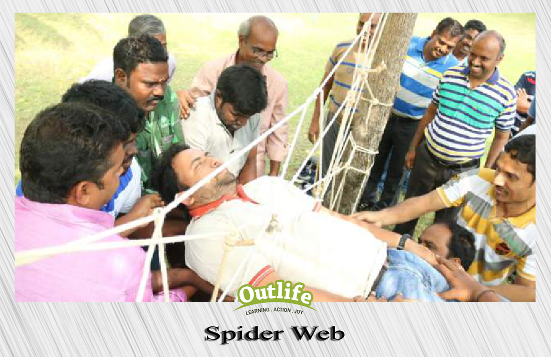 Spider Web Team Building